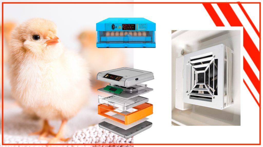 La importancia de la ventilación en una incubadora de huevos automática La importancia de la ventilacion en una incubadora de huevos automatica 1024x576 - La importancia de la ventilación en una incubadora de huevos automática