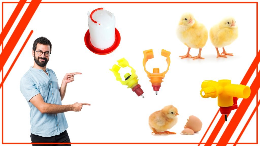 La importancia del agua fresca en la alimentación de las gallinas La importancia del agua fresca en la alimentacion de las gallinas 1024x576 - La importancia del agua fresca en la alimentación de las gallinas