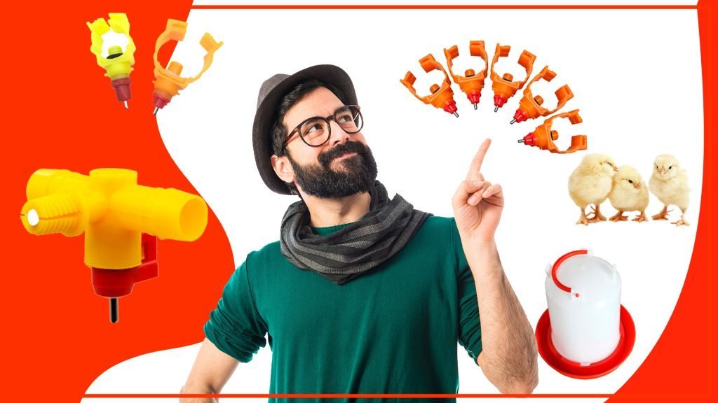 Los bebederos para aves y su relación con la cultura popular Los bebederos Los bebederos para aves y su relacion con la cultura popular 1024x576 - Los bebederos para aves y su relación con la cultura popular