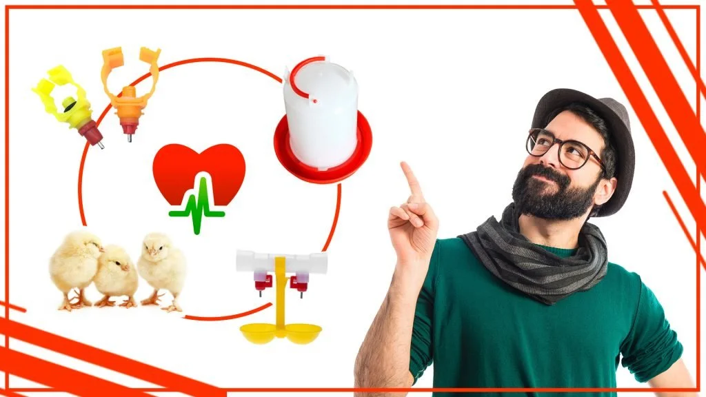 Los bebederos de gallina y su impacto en la salud humana 1024x576 - Los bebederos de gallina y su impacto en la salud humana