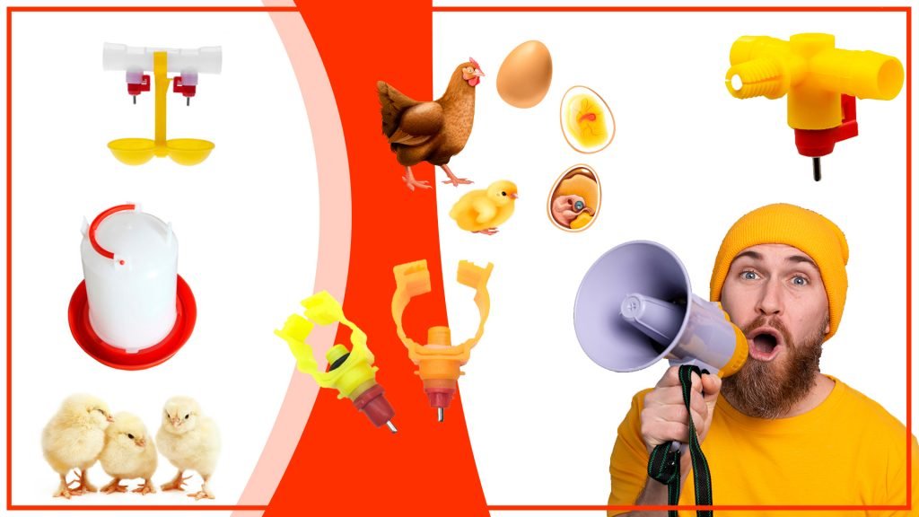 Los bebederos de gallina y su relacion con la produccion de huevos 1024x576 - Los bebederos de gallina y su relación con la producción de huevos
