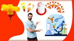 Los bebederos para aves y su impacto en la ciencia 300x169 - Los bebederos para aves y su impacto en la ciencia