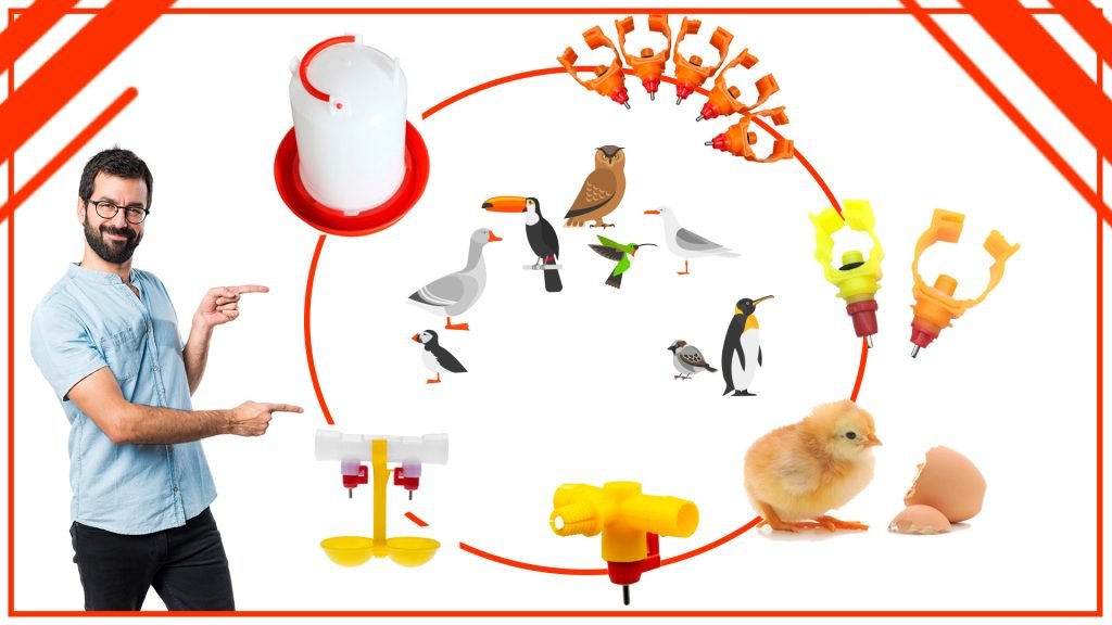 Los bebederos para aves y su impacto en la conservación de las especies Los bebederos para aves y su impacto en la conservacion de las especies 1024x576 - Los bebederos para aves y su impacto en la conservación de las especies