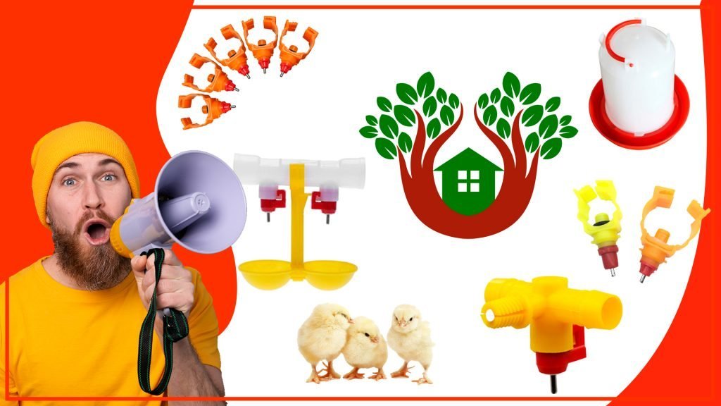 Los bebederos para aves y su importancia en la biodiversidad Los bebederos para aves y su importancia en la biodiversidad 1024x576 - Los bebederos para aves y su importancia en la biodiversidad