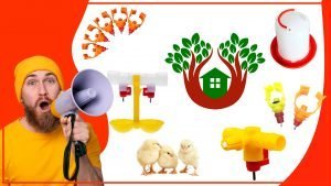 Los bebederos para aves y su importancia en la biodiversidad 300x169 - Los bebederos para aves y su importancia en la biodiversidad