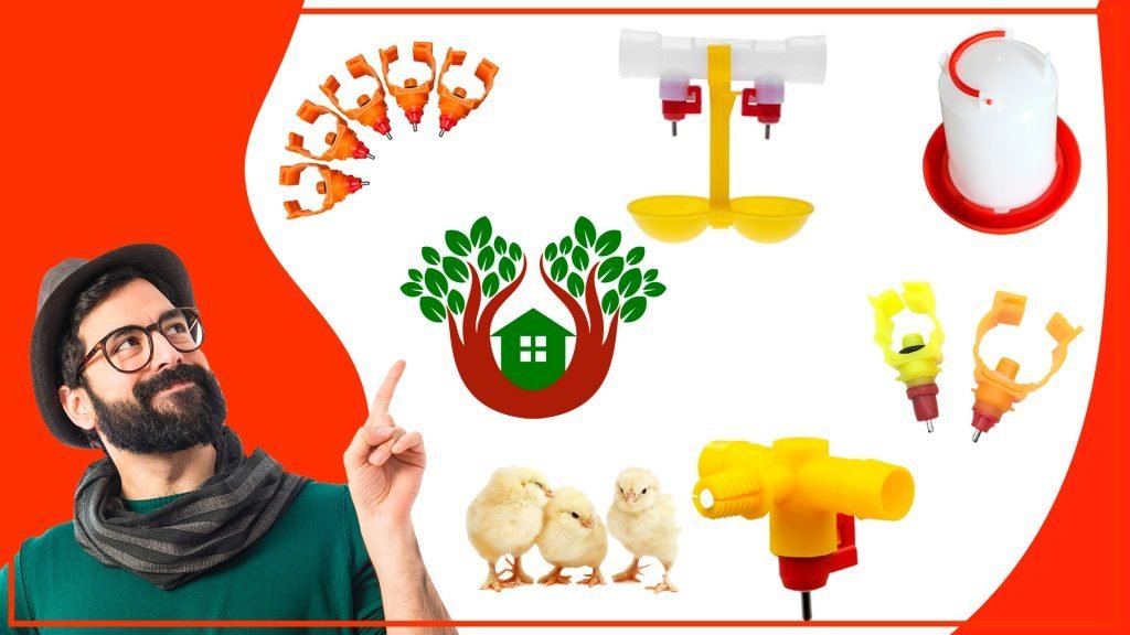 Cómo crear un hábitat para aves en tu jardín con un bebedero Los bebederos para aves y su papel en la educacion ambiental 1024x576 - Cómo crear un hábitat para aves en tu jardín con un bebedero