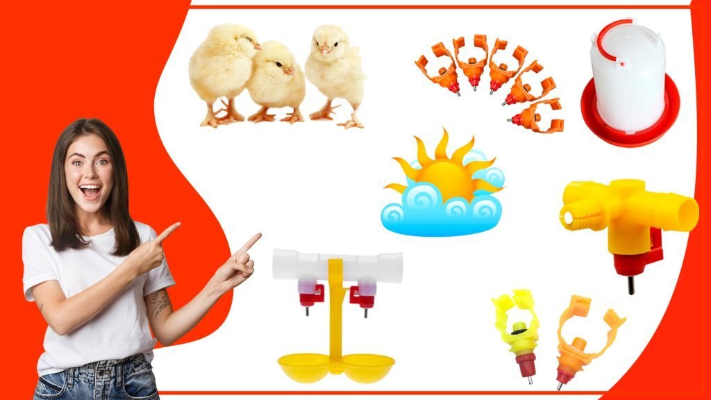 Los bebederos para aves y su relación con el clima Los bebederos para aves y su relacion con el clima 1024x576 - Los bebederos para aves y su relación con el clima