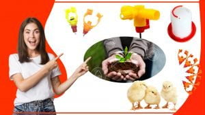 Los bebederos para aves y su relacion con la agricultura 300x169 - Los bebederos para aves y su relación con la agricultura