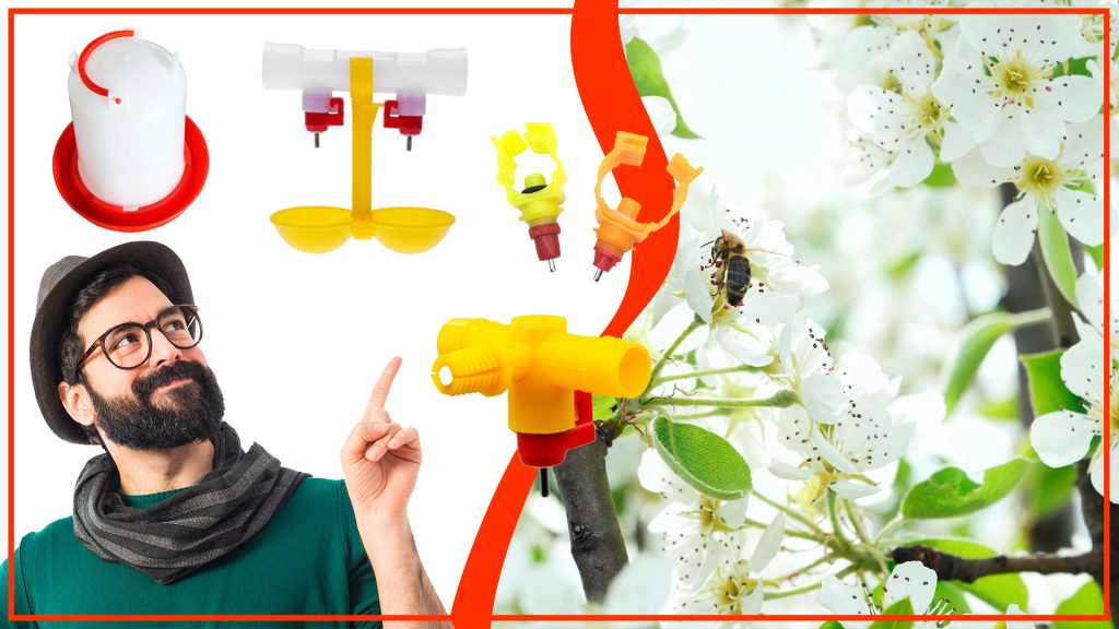 Los bebederos para aves y su relacion con la polinizacion 1024x576 - Los bebederos para aves y su relación con la polinización