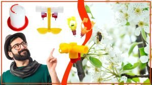 Los bebederos para aves y su relacion con la polinizacion 300x169 - Los bebederos para aves y su relación con la polinización