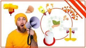 Los bebederos para pollos y su impacto en el medio ambiente 300x169 - Cómo evitar el desperdicio de agua en los bebederos para pollos