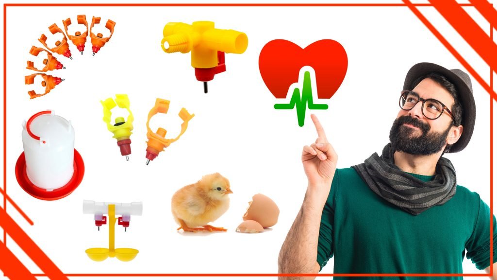 Los bebederos para pollos y su impacto en la salud humana Los bebederos para pollos y su impacto en la salud humana 1024x576 - Los bebederos para pollos y su impacto en la salud humana