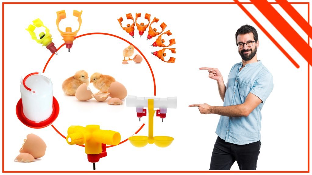 Los bebederos para pollos y su relacion con la produccion de huevos 1024x576 - Los bebederos para pollos y su relación con la producción de huevos