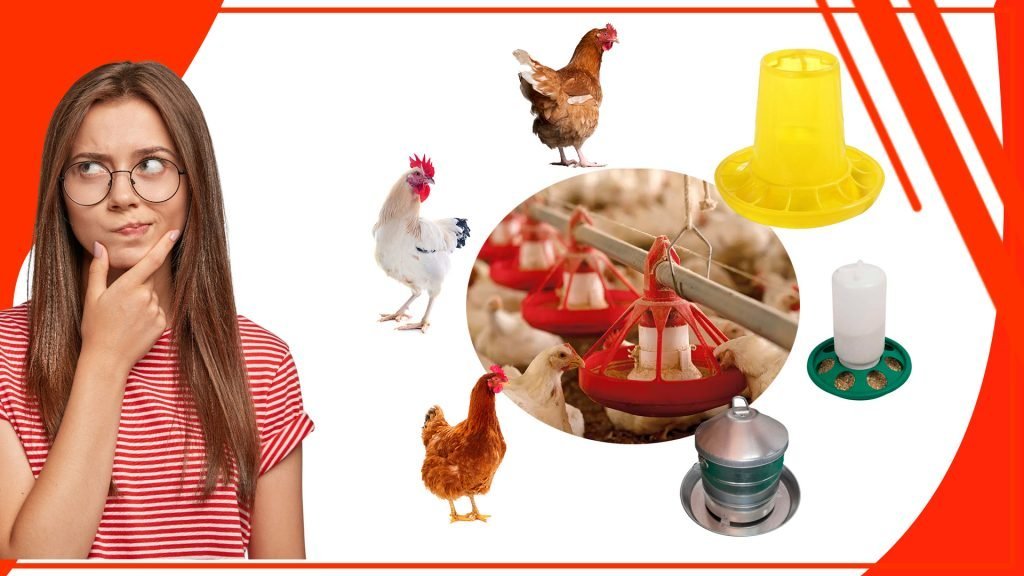 Los comederos automaticos para gallinas 1024x576 - Los comederos automáticos para gallinas: ¿son la mejor opción?