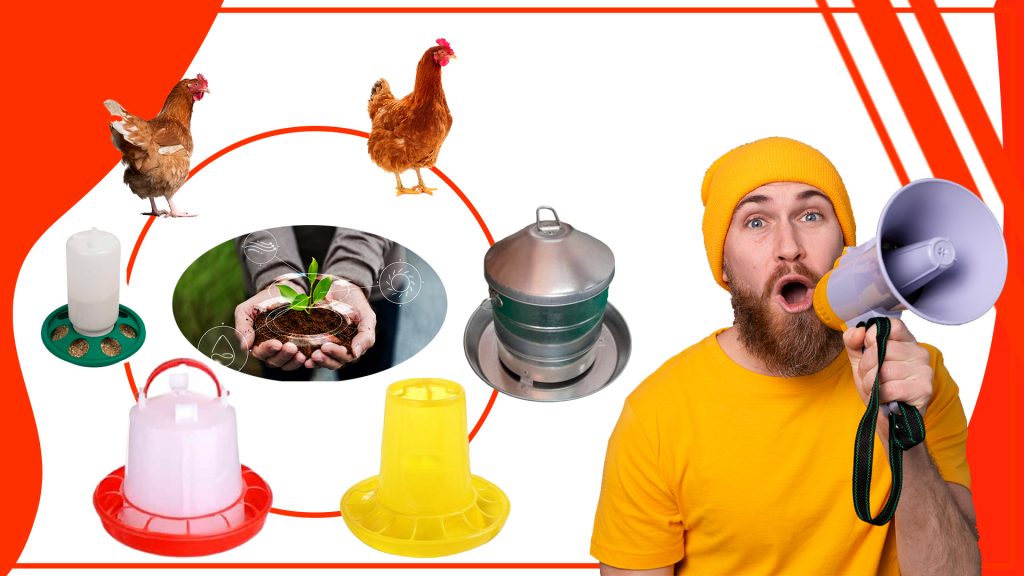 Los comederos para gallinas y su impacto en el medio ambiente Los comederos para gallinas y su impacto en el medio ambiente 1024x576 - Los comederos para gallinas y su impacto en el medio ambiente