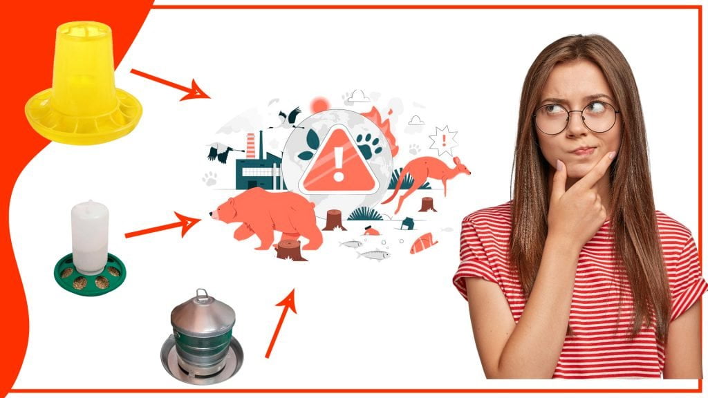 Los comederos para gallinas y su impacto en la biodiversidad 1024x576 - Los comederos para gallinas y su impacto en la biodiversidad