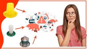 Los comederos para gallinas y su impacto en la biodiversidad 300x169 - Los comederos para gallinas y su impacto en la biodiversidad