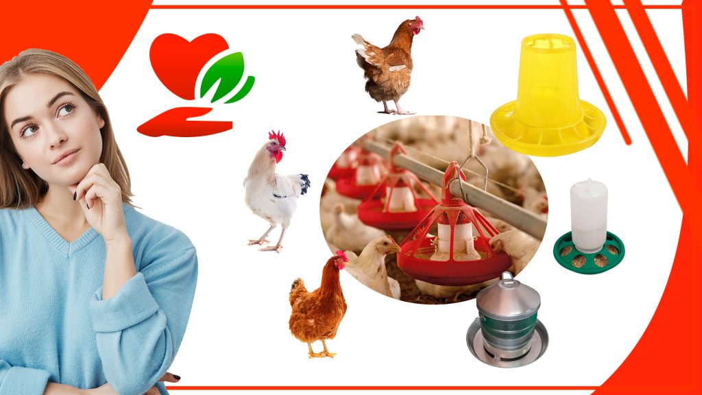 Los comederos para gallinas y su impacto en la salud humana Los comederos para gallinas y su impacto en la salud humana 1024x576 - Los comederos para gallinas y su impacto en la salud humana