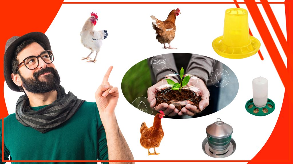 Los comederos para gallinas y su relación con la agricultura Los comederos para gallinas y su relacion con la agricultura 1024x576 - Los comederos para gallinas y su relación con la agricultura