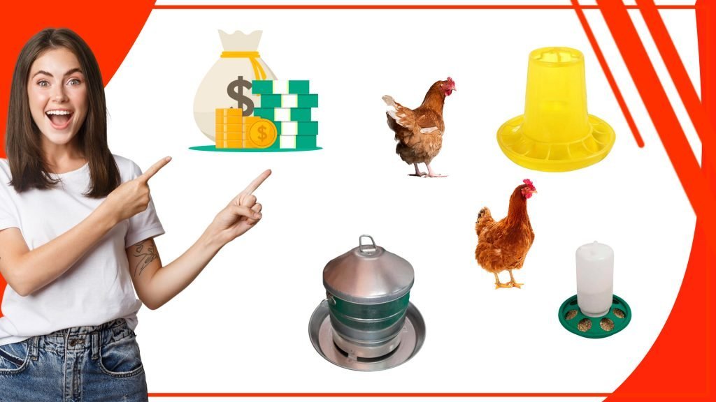 Los comederos para gallinas y su relacion con la economia local 1024x576 - Los comederos para gallinas y su relación con la economía local