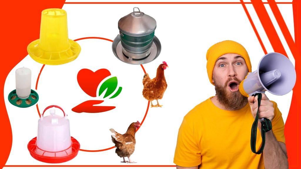 Los comederos para gallinas y su relación con la salud de las aves Los comederos para gallinas y su relacion con la salud de las aves 1024x576 - Los comederos para gallinas y su relación con la salud de las aves