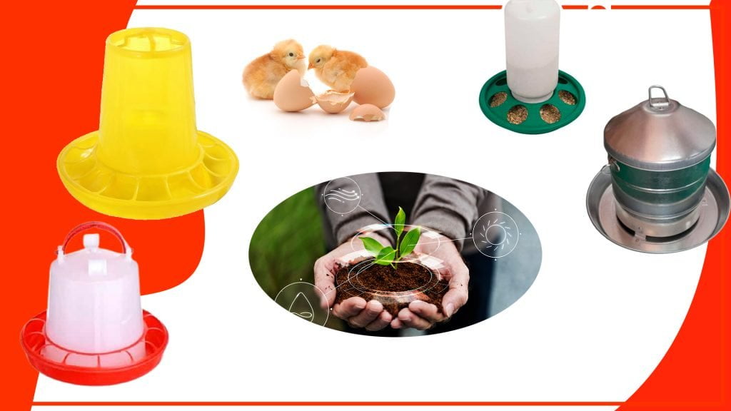 Los comederos para pollos y su impacto en el medio ambiente 1024x576 - Los comederos para pollos y su impacto en el medio ambiente