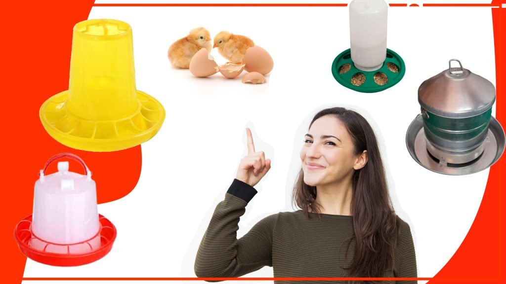 Los comederos para pollos y su relación con la producción de huevos Los comederos para pollos y su relacion con la produccion de huevos 1024x576 - Los comederos para pollos y su relación con la producción de huevos