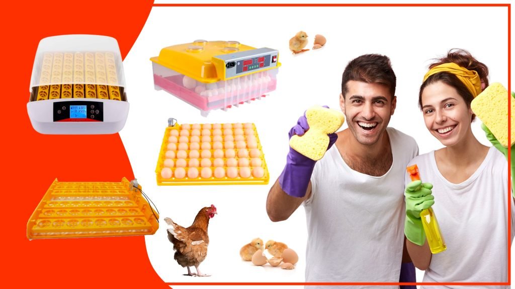 Los cuidados necesarios para mantener tus bandejas de huevos limpias y saludables 1024x576 - Los cuidados necesarios para mantener tus bandejas de huevos limpias y saludables