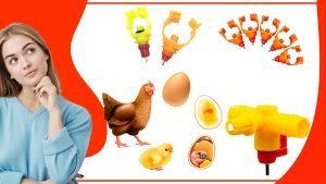 Los mejores comederos para pollos recien nacidos 300x169 - Los mejores comederos para pollos recién nacidos