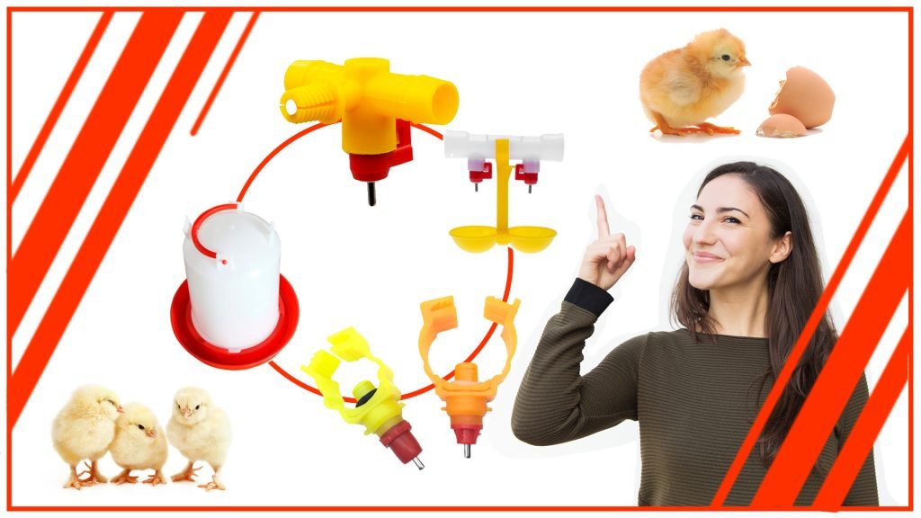 Los mejores disenos de bebedero para gallinas 1 1024x576 - Los mejores tipos de bebederos para pollos criados en granja