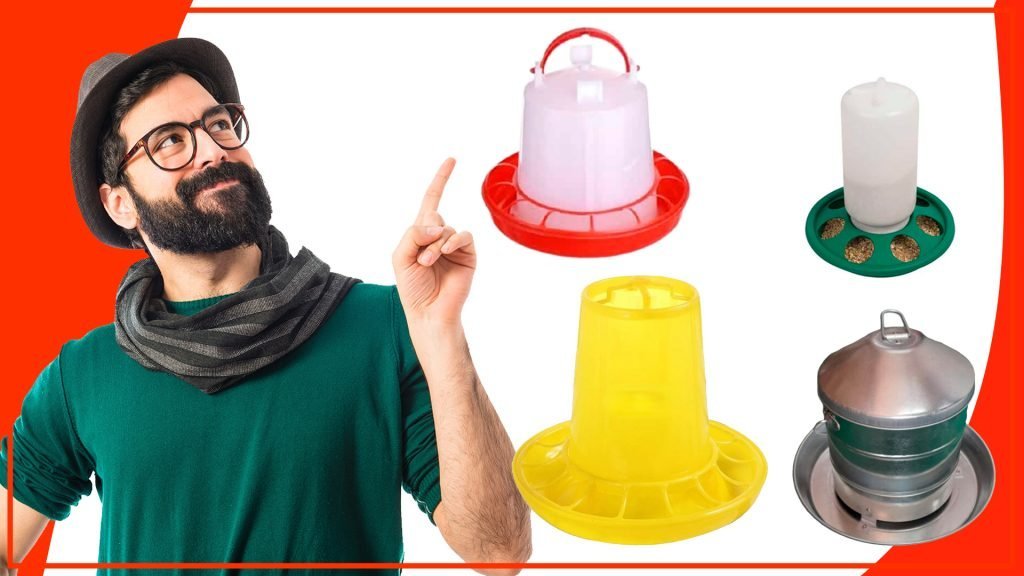 Los mejores disenos de comederos para pollos 1024x576 - Los mejores diseños de comederos para pollos