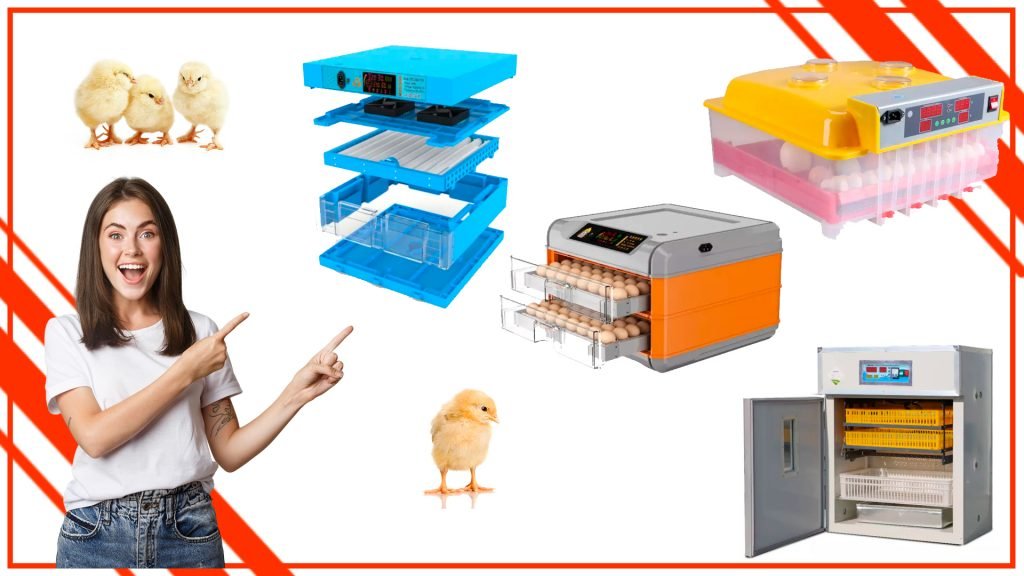 Cómo aumentar tus tasas de eclosión con una incubadora de huevos profesional en Chile Los mejores modelos de incubadoras de huevos profesionales disponibles en Chile 1024x576 - Cómo aumentar tus tasas de eclosión con una incubadora de huevos profesional en Chile