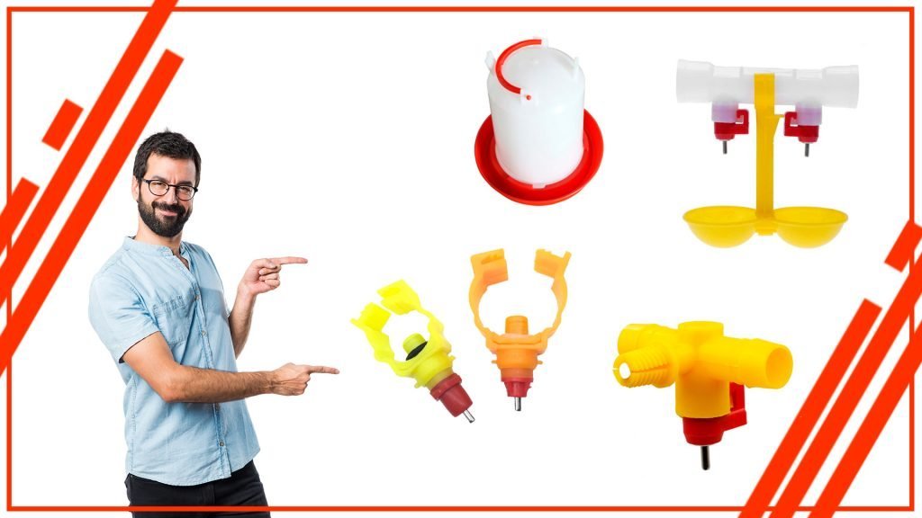 Los mejores tipos de bebederos para gallinas criadas en granja 1024x576 - Los mejores tipos de bebederos para gallinas criadas en granja