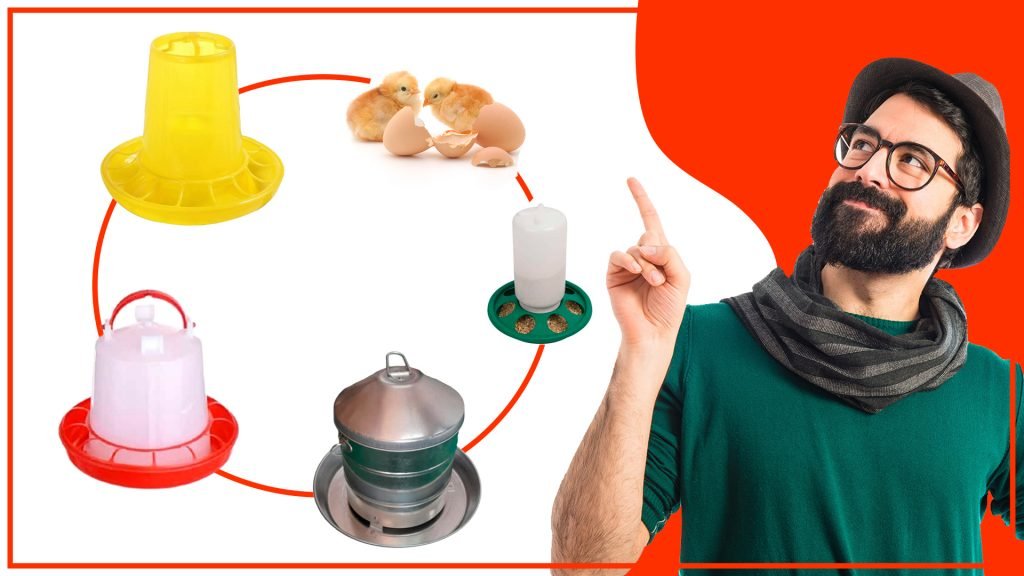 Los mejores tipos de comederos para pollos criados en granja Los mejores tipos de comederos para pollos criados en granja 1024x576 - Los mejores tipos de comederos para pollos criados en granja