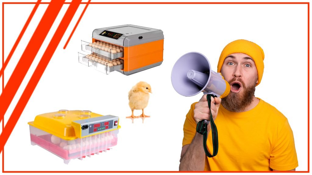 Los mejores trucos y consejos para usar una incubadora de huevos automática Los mejores trucos y consejos para usar una incubadora de huevos automatica 1024x576 - Los mejores trucos y consejos para usar una incubadora de huevos automática
