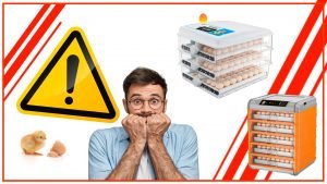 Los peligros de usar una incubadora de huevos automatica mal calibrada 300x169 - Los peligros de usar una incubadora de huevos automática mal calibrada