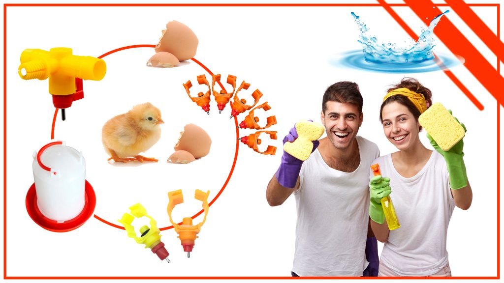 Mantenimiento y limpieza de los bebederos para pollos Mantenimiento y limpieza de los bebederos para pollos 1024x576 - Mantenimiento y limpieza de los bebederos para pollos