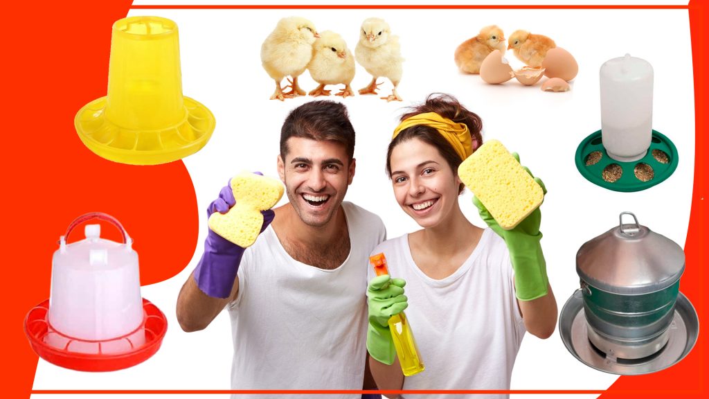Mantenimiento y limpieza de los comederos para pollos 1024x576 - Mantenimiento y limpieza de los comederos para pollos