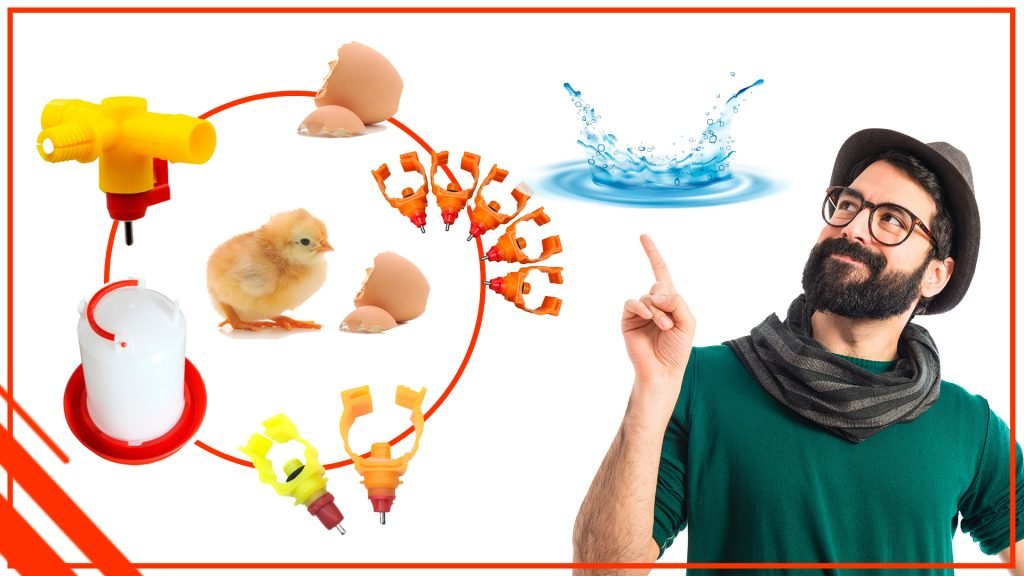 Por qué es importante el agua limpia para los pollos Por que es importante el agua limpia para los pollos 1024x576 - Por qué es importante el agua limpia para los pollos