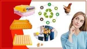 Que materiales son los mejores para las bandejas de huevos 300x169 - ¿Qué materiales son los mejores para las bandejas de huevos?