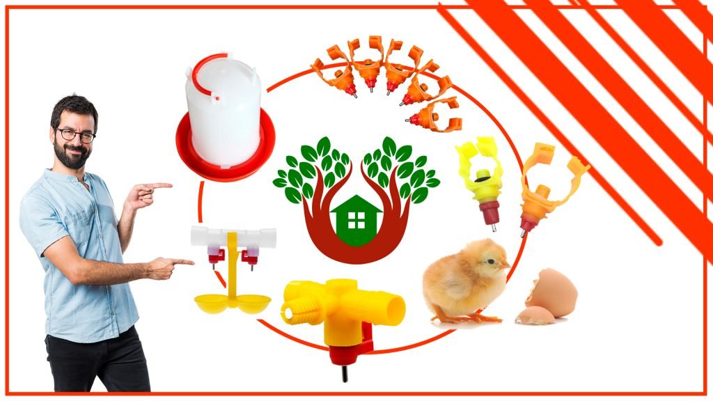 Bebederos para aves: ¿cómo elegir el adecuado para tu jardín? como elegir el adecuado para tu jardin 1024x576 - Bebederos para aves: ¿cómo elegir el adecuado para tu jardín?