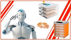 las incubadoras de huevos automaticas inteligentes 300x169 - El futuro de la incubación: las incubadoras de huevos automáticas inteligentes