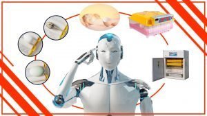 las incubadoras de huevos profesionales inteligentes 300x169 - El futuro de la incubación en Chile: las incubadoras de huevos profesionales inteligentes