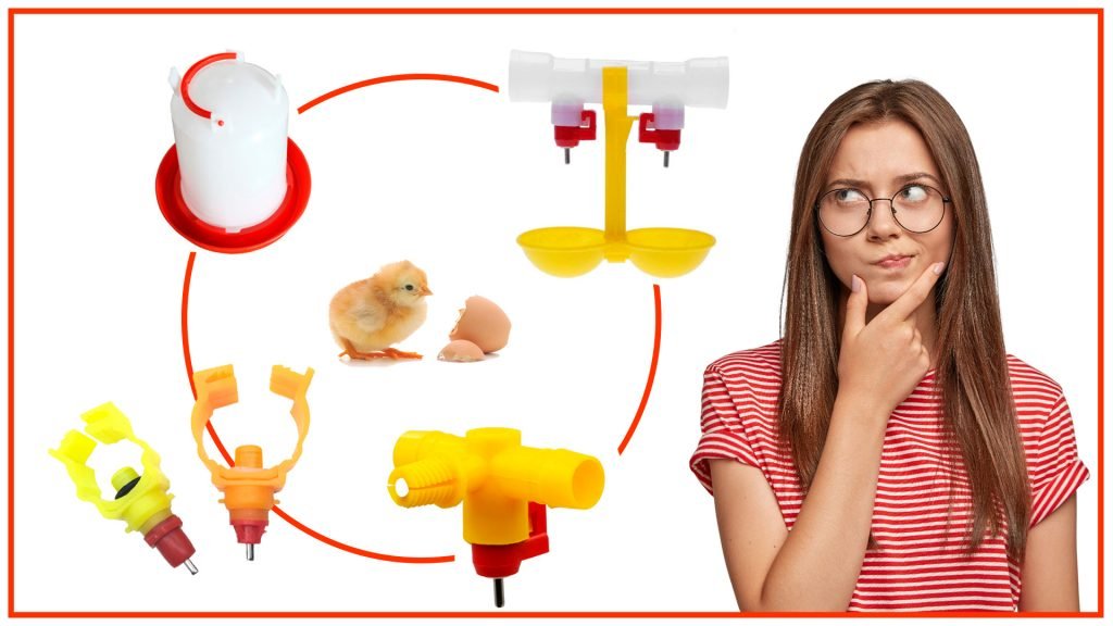 son la mejor opcion para las gallinas 1024x576 - Los bebederos automáticos: ¿son la mejor opción para las gallinas?