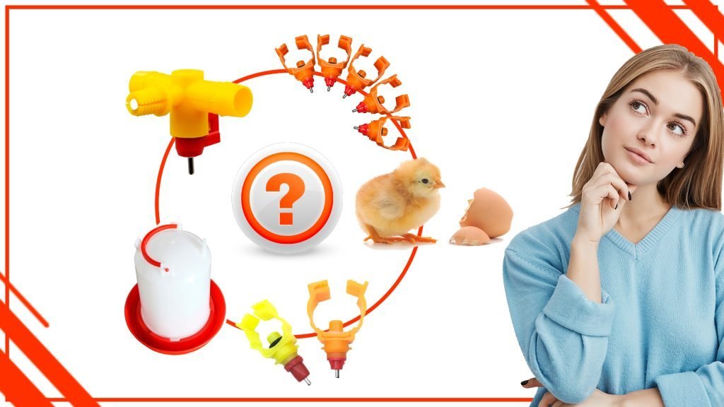 son la mejor opcion para los pollos 1024x576 - Los bebederos automáticos: ¿son la mejor opción para los pollos?