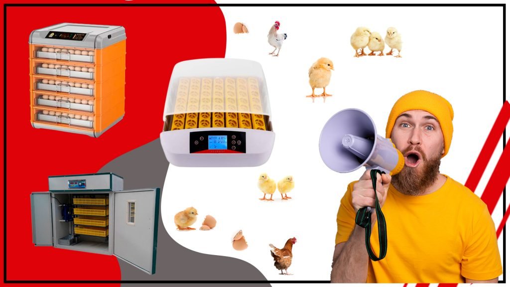 Accesorios de incubacion de alta calidad a precios asequibles 1024x576 - Accesorios de incubación de alta calidad a precios asequibles