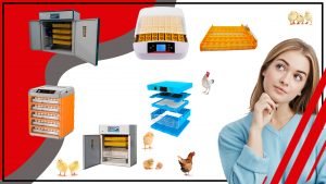 Accesorios de incubacion de alta calidad para una incubacion eficaz 300x169 - Accesorios de incubación de alta calidad para una incubación eficaz