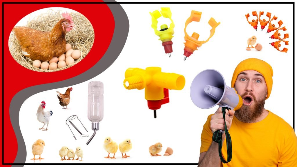 Bebederos para Pajaros La Guia Definitiva para Elegir el Mejor para tu Ave 1024x576 - Bebederos para Pájaros: La Guía Definitiva para Elegir el Mejor para tu Ave