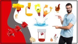 Bebederos para Pajaros1 1 300x169 - Bebederos para Pajaros