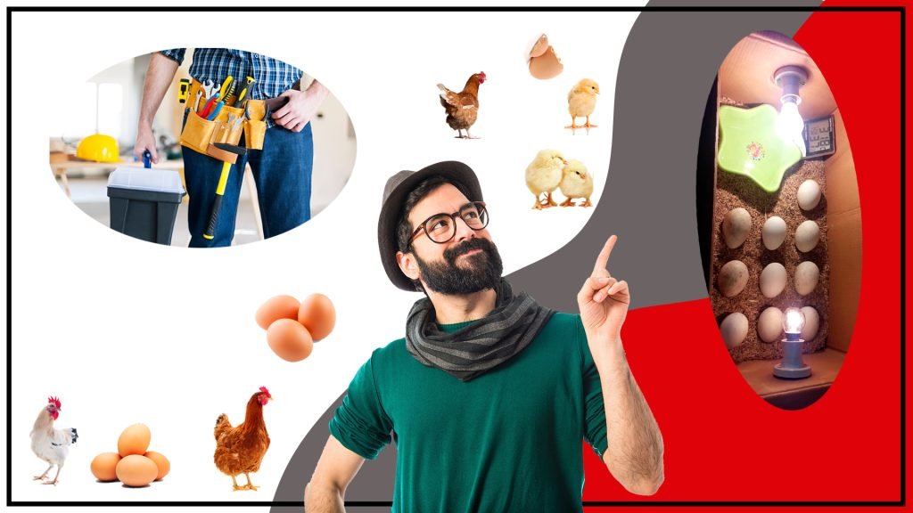 Como construir una incubadora de huevos casera paso a paso 1024x576 - Cómo construir una incubadora de huevos casera paso a paso